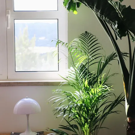 Luxury In Appartement Setúbal